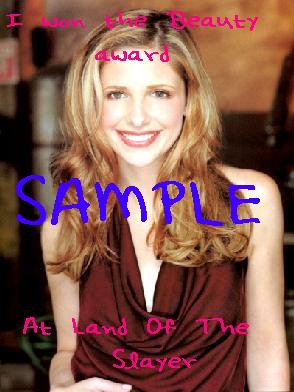 beautyawardsample.jpg